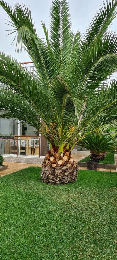 Villa Avdira Paralia Avdhiron 외부 사진